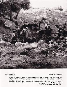 Algerie propagande 029